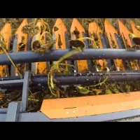 Жатка для уборки подсолнечника безрядковая ORANGE SEED SFH